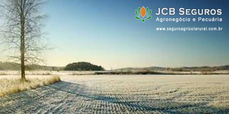 Seguro Agricola Rural Contra Geada