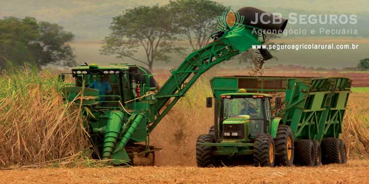 Seguro Agricola Rural Safra Cana de Açucar