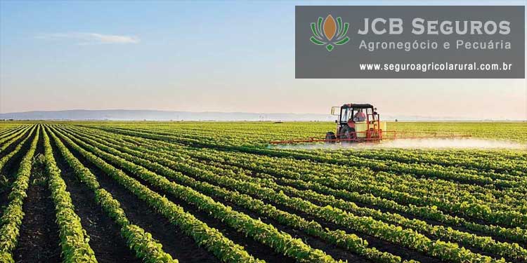 Seguro Agrícola Rural Safras