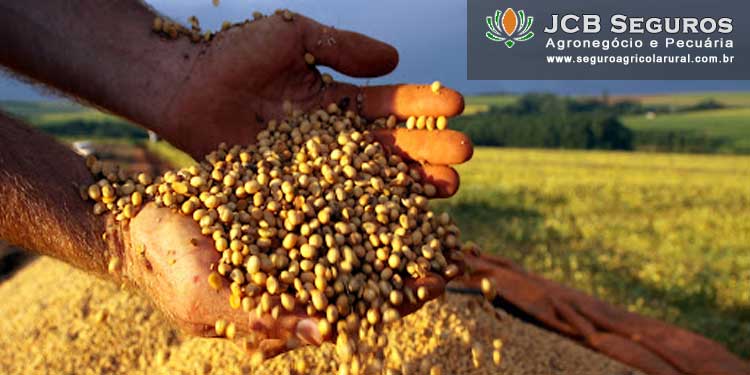 Seguro de Colheita