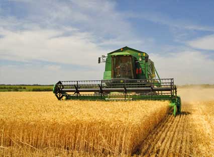 Seguro de Agronegocio