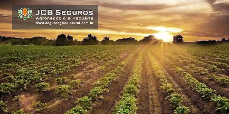 Seguro para Lavoura