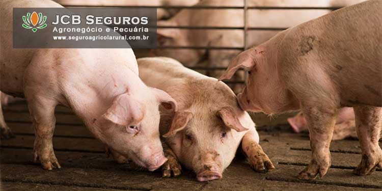 Seguro Pecuario para Suinos